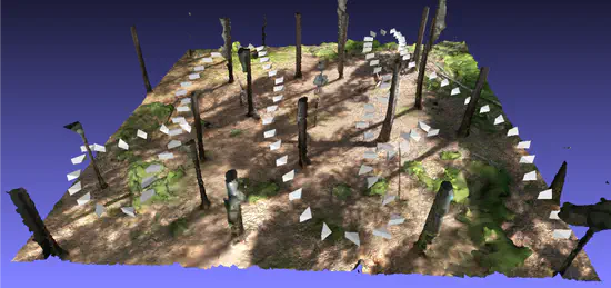 Automated understory fuel inventory